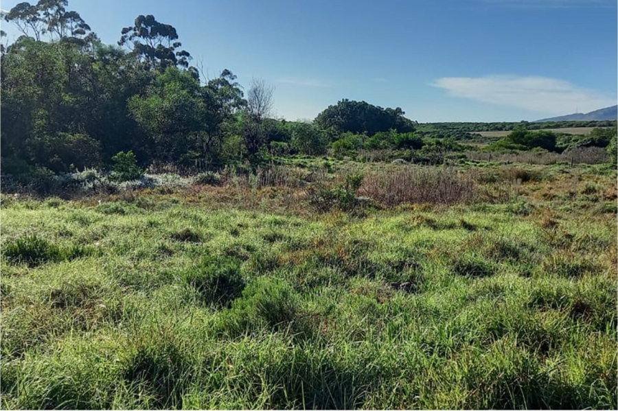 0 Bedroom Property for Sale in Albertinia Western Cape